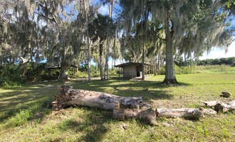 Camping near Hatbill Park: Seminole Ranch Conservation Trailhead, Christmas, Florida