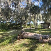 Review photo of Seminole Ranch Conservation Trailhead by Marlene V., November 27, 2020