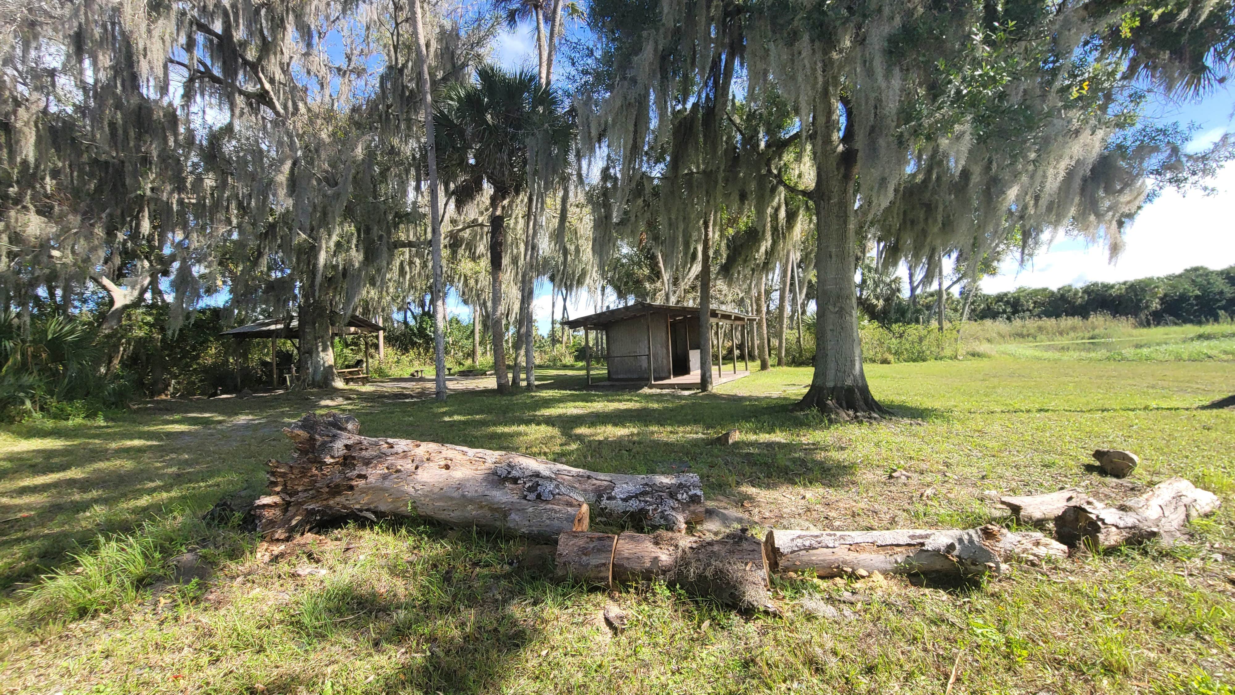 Camper submitted image from Seminole Ranch Conservation Trailhead - 1