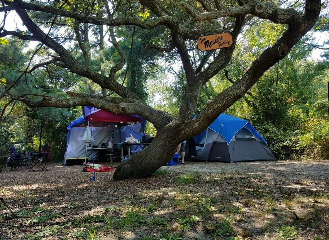 Elissa M.'s photo at First Landing State Park Campground near Greenwood, VA