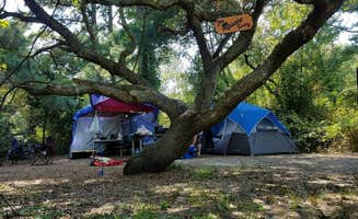 Elissa M.'s photo at First Landing State Park Campground near Greenwood, VA