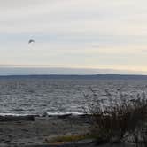 Review photo of Beach Campground — Fort Worden Historical State Park by Julie H., November 28, 2020