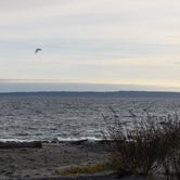 Review photo of Beach Campground — Fort Worden Historical State Park by Julie H., November 28, 2020