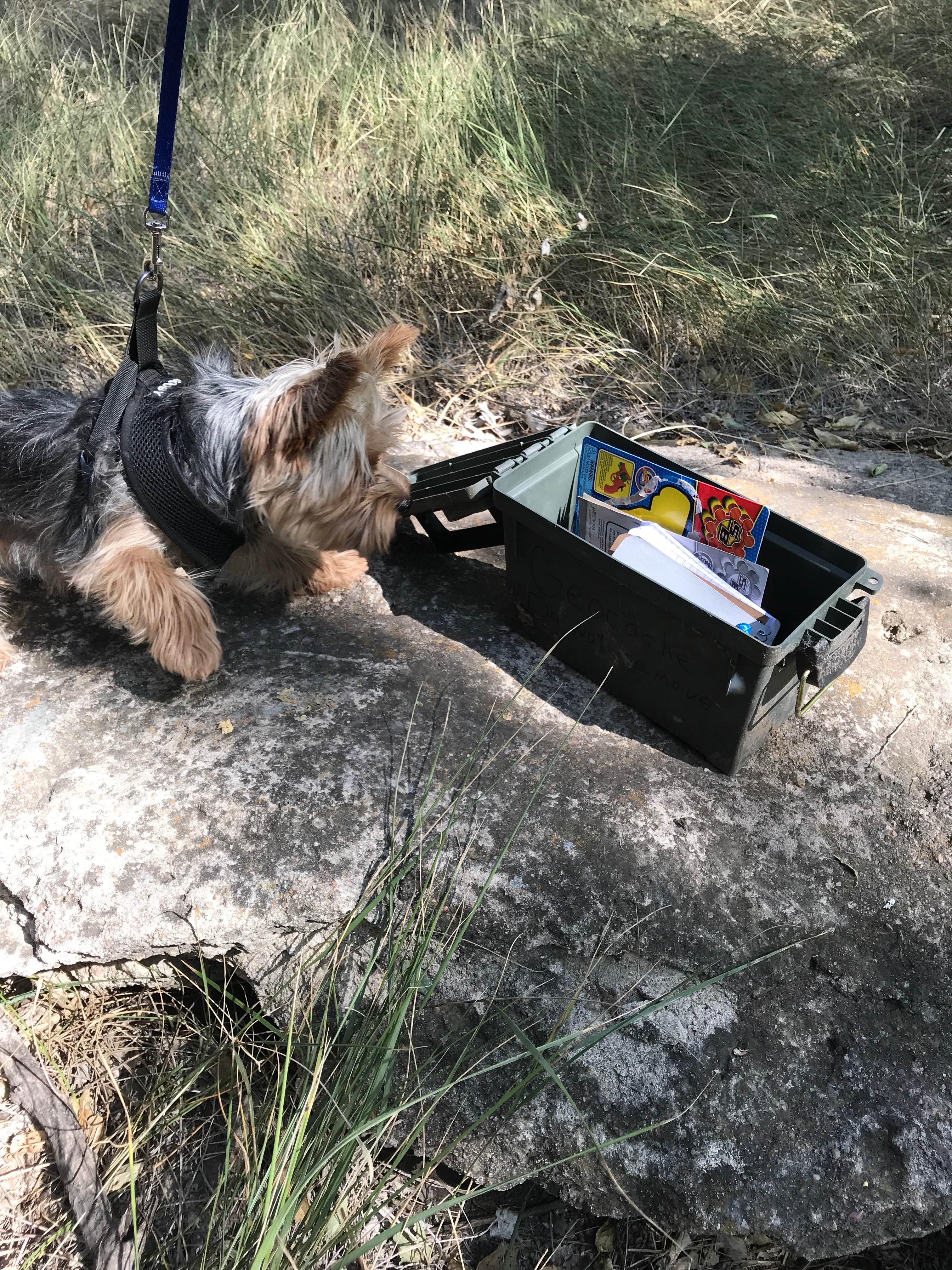 Mindy's photo of camping with pets at Oberlin-Sappa State Park near Atwood, KS