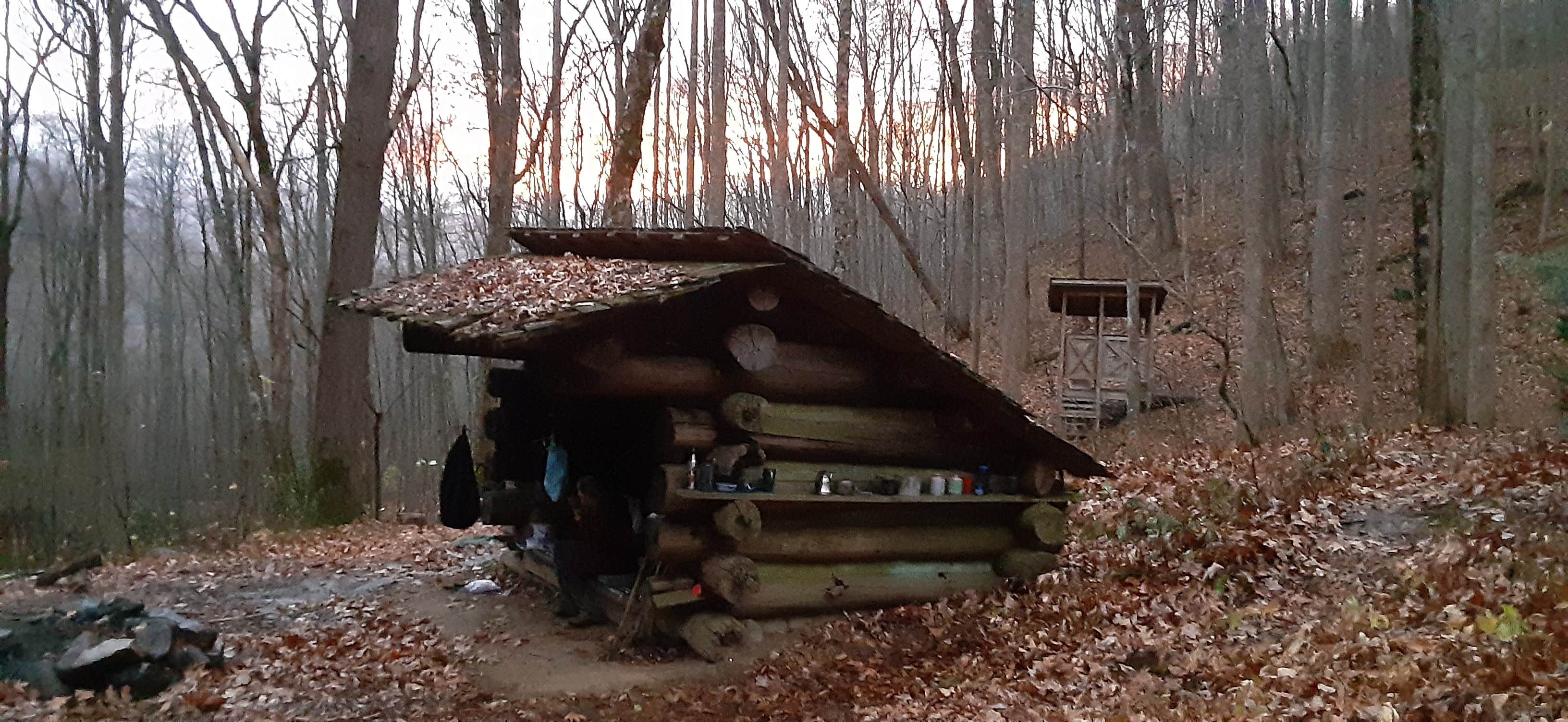 Camper submitted image from Unique shelter in the NC foothills - 2