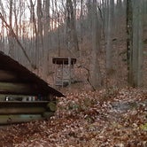 Review photo of Unique shelter in the NC foothills by David P., November 28, 2020