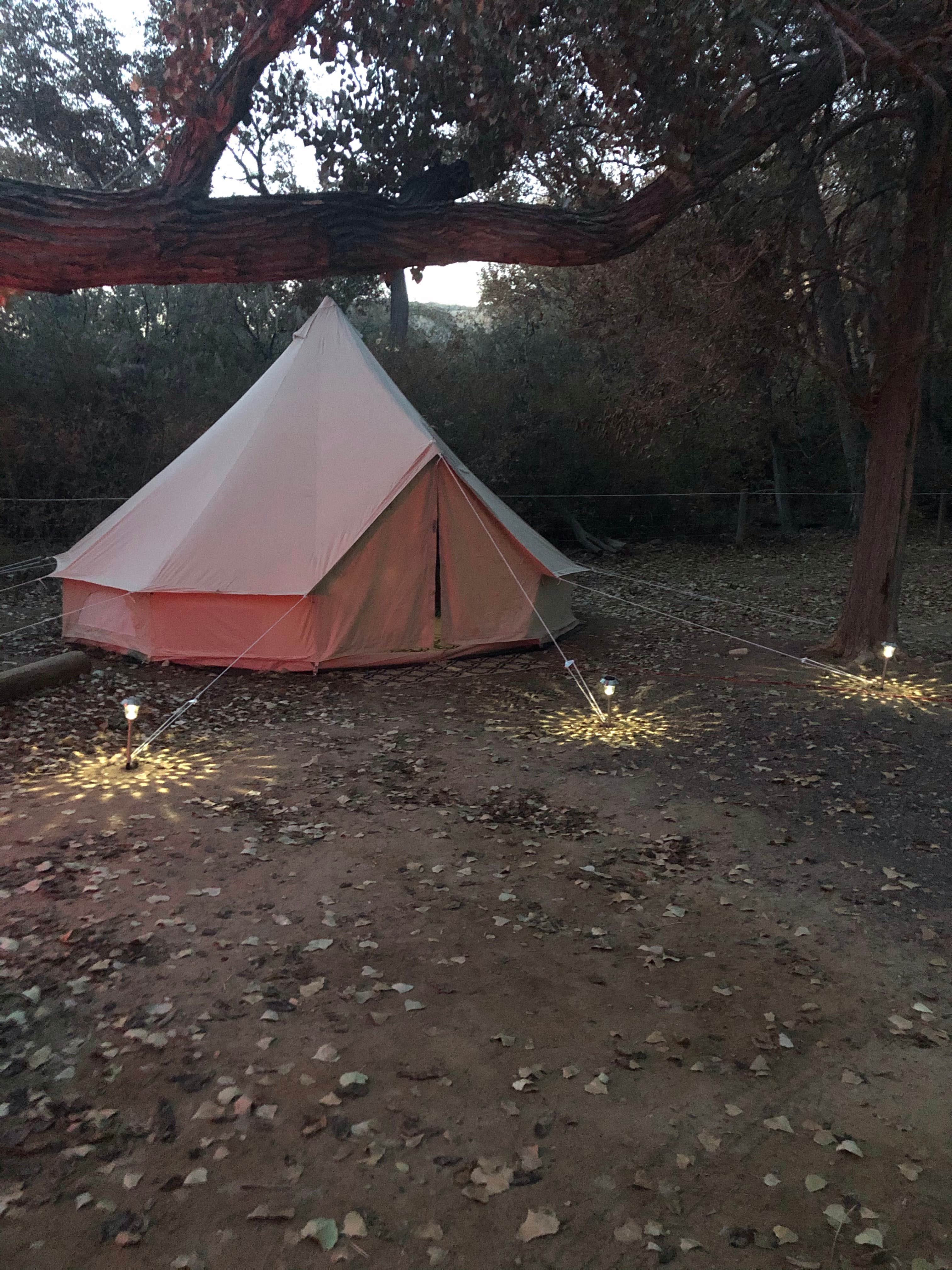 Rob S.'s photo at Palisade Basecamp RV Resort near Mesa Lakes, CO