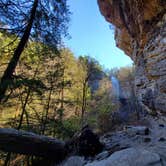 Review photo of Fall Creek Falls State Park Campground by Anna , November 28, 2020