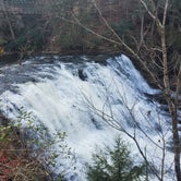 Review photo of Fall Creek Falls State Park Campground by Anna , November 28, 2020
