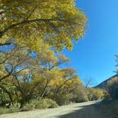 Review photo of Wildrose - Death Valley National Park by Brittney  C., November 28, 2020