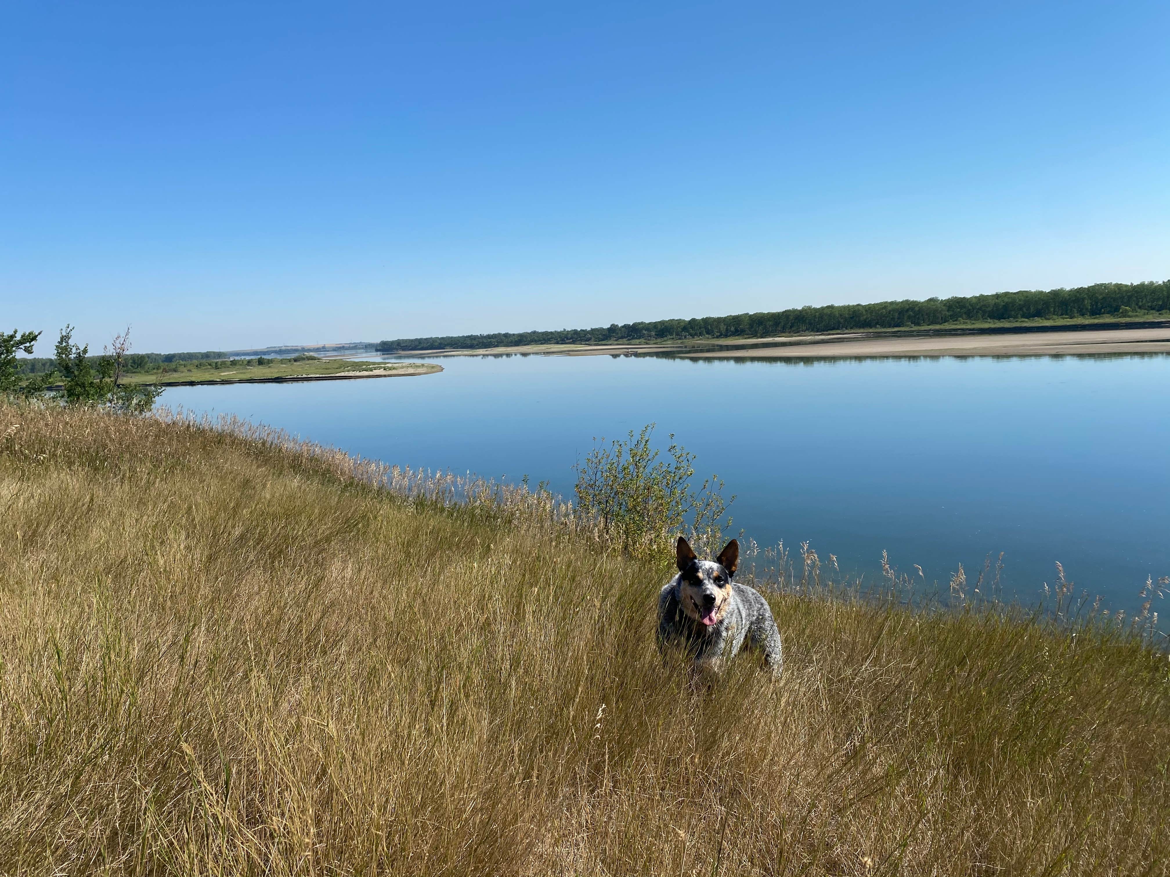 Shelly S.'s photo of camping with pets at Cross Ranch State Park Campground near Garrison, ND