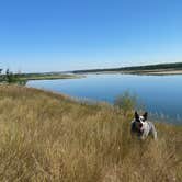 Review photo of Cross Ranch State Park Campground by Shelly S., November 29, 2020