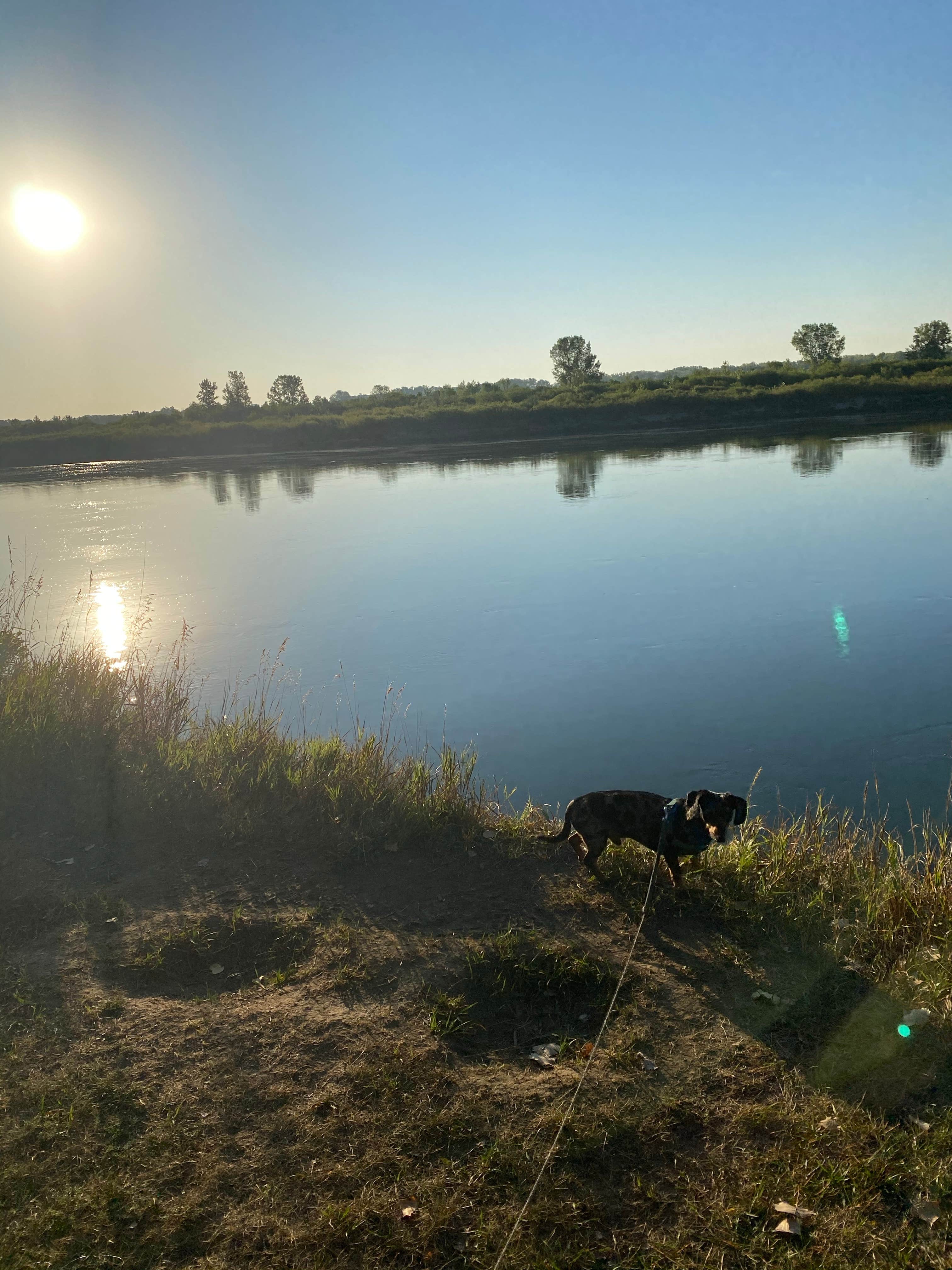 Shelly S.'s photo of camping with pets at Cross Ranch State Park Campground near Washburn, ND