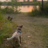 Review photo of Cross Ranch State Park Campground by Shelly S., November 29, 2020