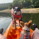 Review photo of Buffalo Point — Buffalo National River by Shelly S., November 29, 2020