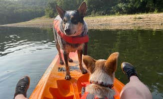 Shelly S.'s photo of camping with pets at Buffalo Point — Buffalo National River near Cozahome, AR