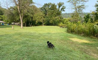 Shelly S.'s photo of camping with pets at Buffalo Point — Buffalo National River near Flippin, AR