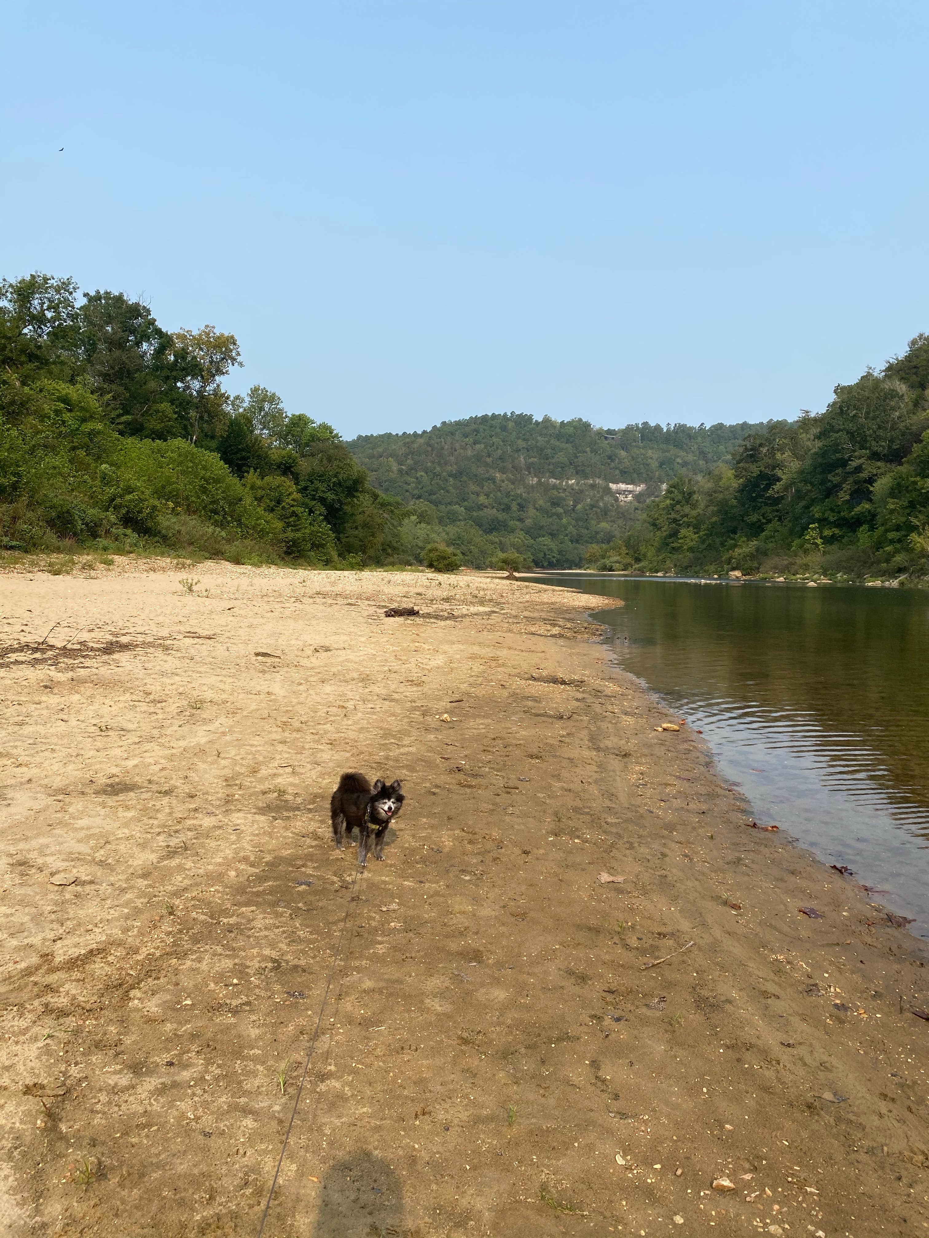 Shelly S.'s photo of camping with pets at Buffalo Point — Buffalo National River near Yellville, AR