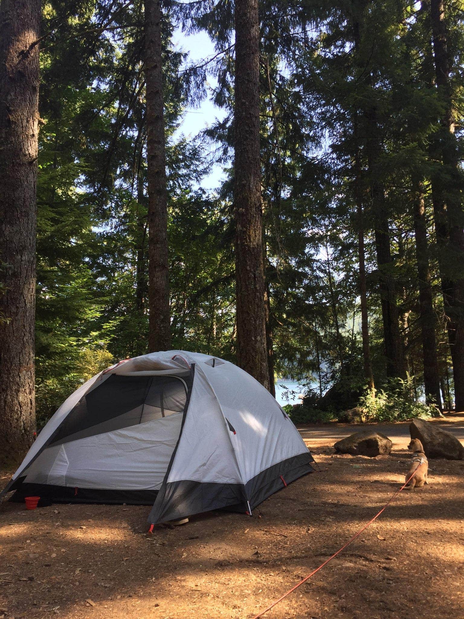 Ashley B.'s photo at Detroit Lake State Recreation Area Campground near Gates, OR