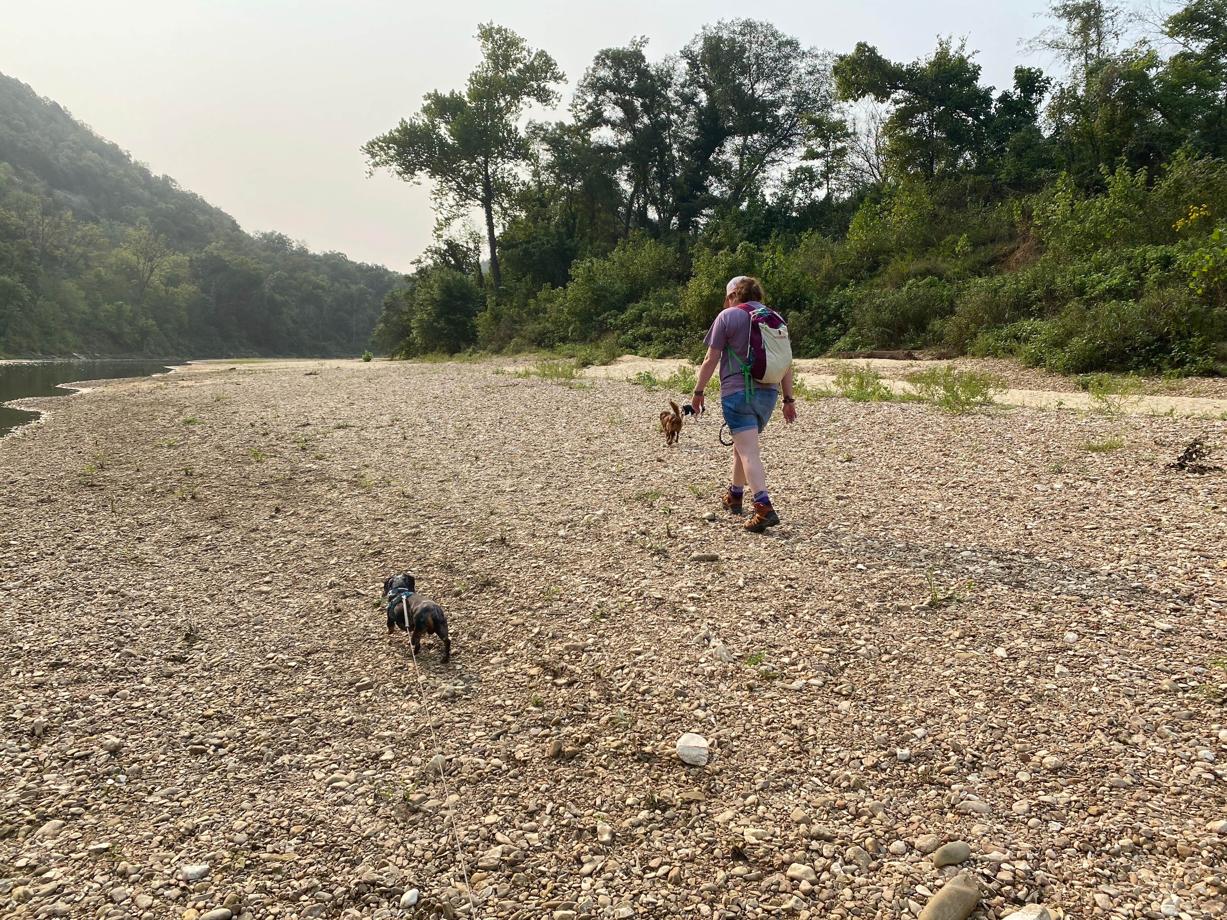 Shelly S.'s photo of camping with pets at Buffalo Point — Buffalo National River near Buffalo National River