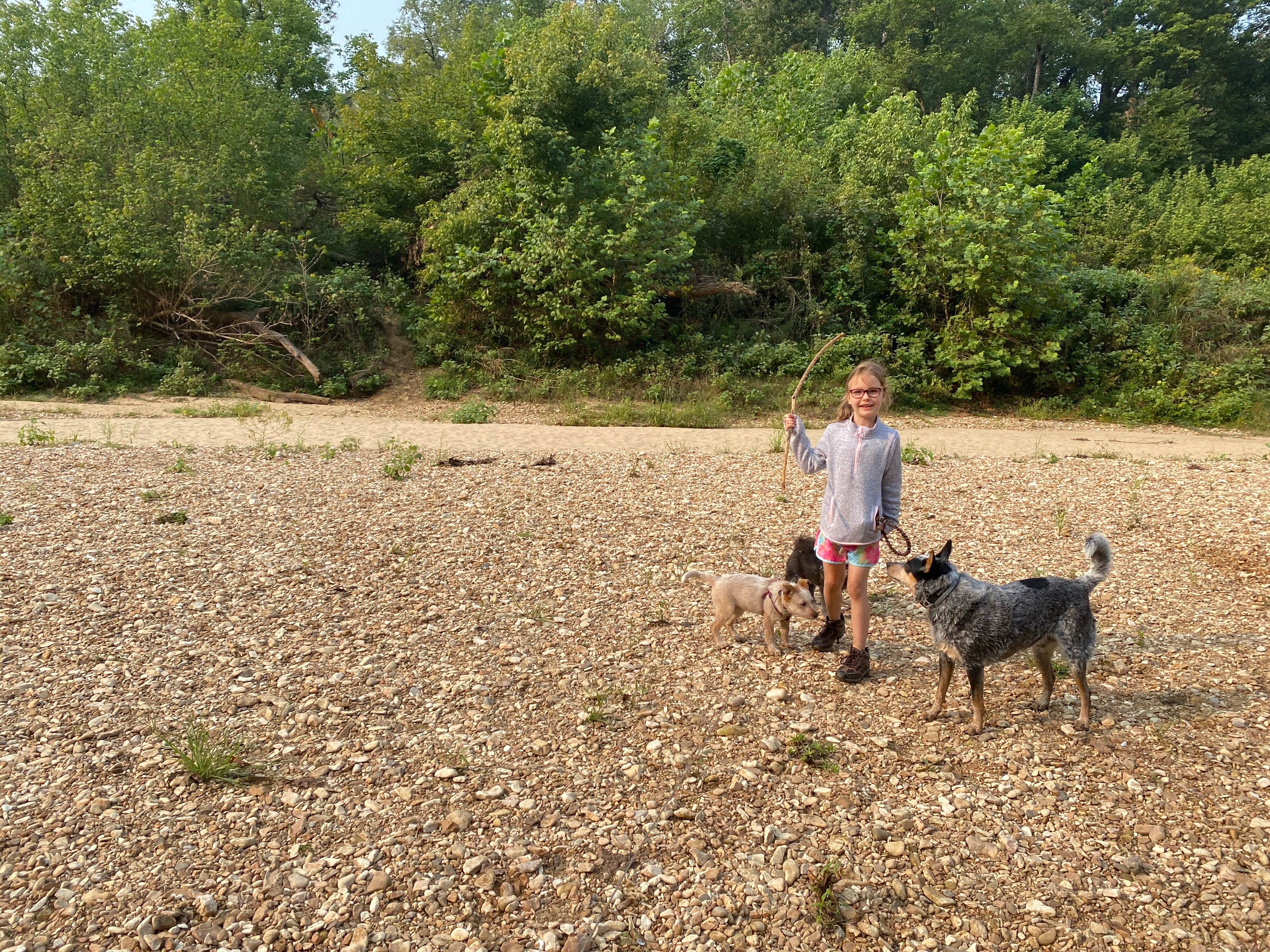 Shelly S.'s photo of camping with pets at Buffalo Point — Buffalo National River near Lakeview, AR