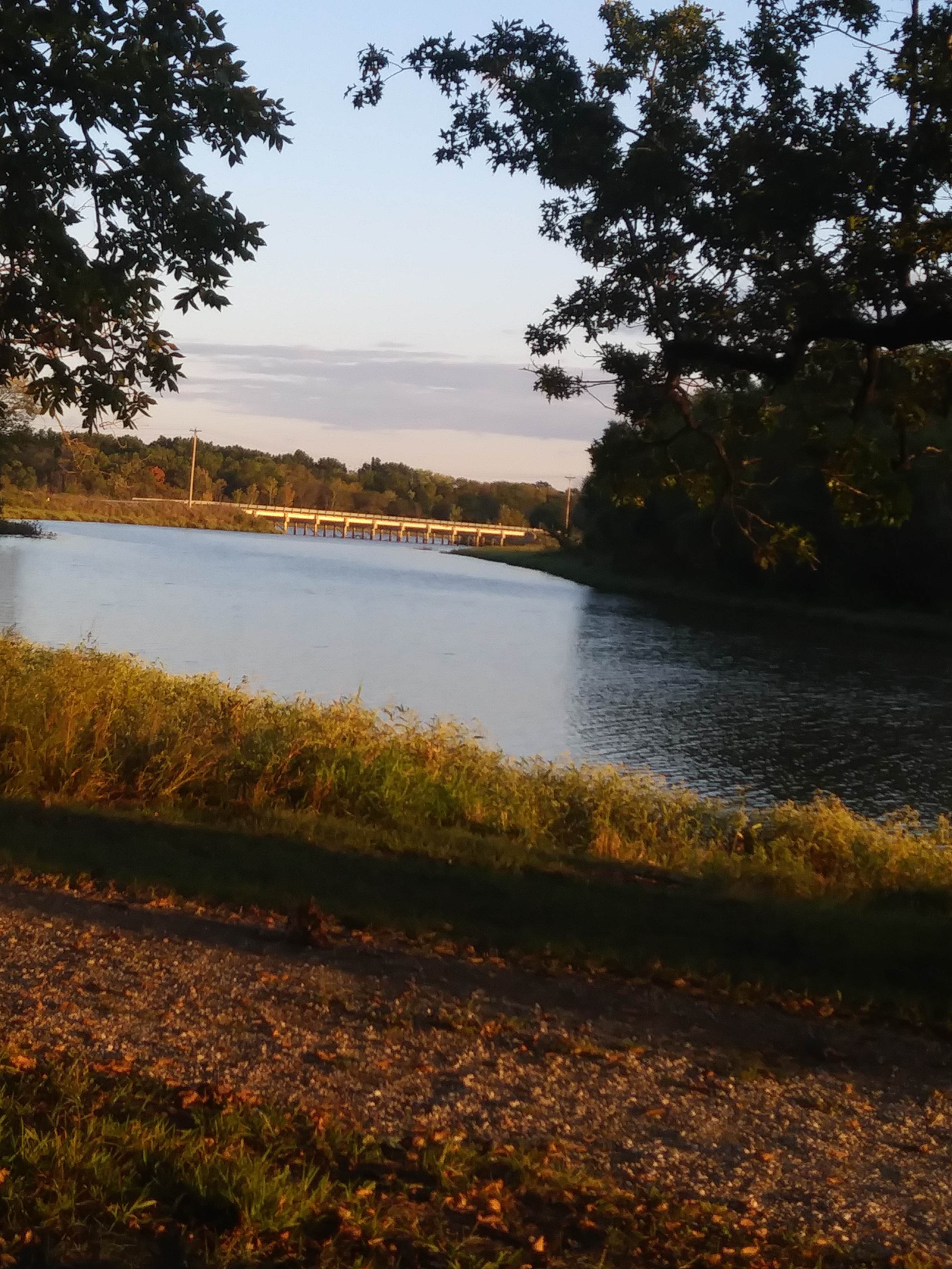 Camper submitted image from Montrose Missouri Conservation Area Dispersed Camping - 3