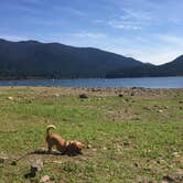 Review photo of Detroit Lake State Recreation Area by Ashley B., May 24, 2018