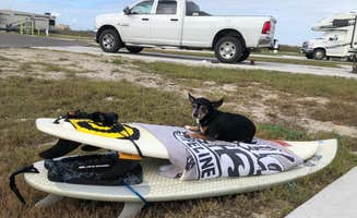 Corina L.'s photo of camping with pets at IB Magee Beach County Park near Padre Island National Seashore