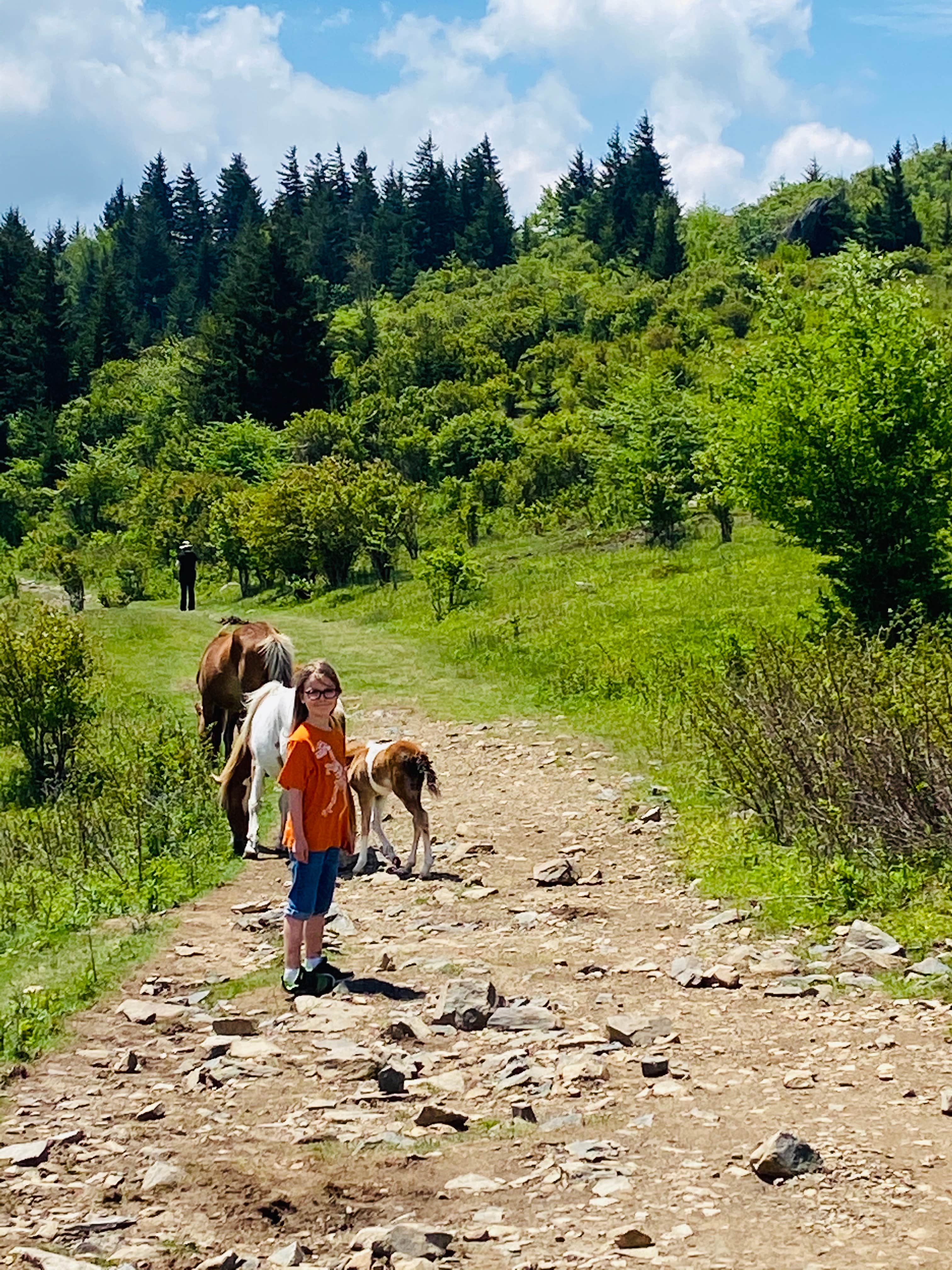Camper-submitted photo at Hickory Ridge Campground — Grayson Highlands State Park in Virginia