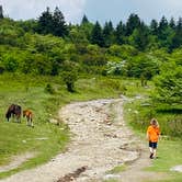 Review photo of Hickory Ridge Campground — Grayson Highlands State Park by Shelly S., November 29, 2020