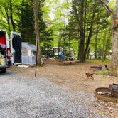 Review photo of Hickory Ridge Campground — Grayson Highlands State Park by Shelly S., November 29, 2020