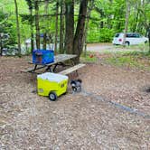 Review photo of Hickory Ridge Campground — Grayson Highlands State Park by Shelly S., November 29, 2020