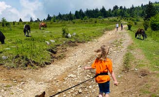 Shelly S.'s photo of camping with pets at Hickory Ridge Campground — Grayson Highlands State Park near Mouth of Wilson, VA