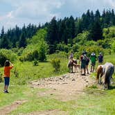 Review photo of Hickory Ridge Campground — Grayson Highlands State Park by Shelly S., November 29, 2020