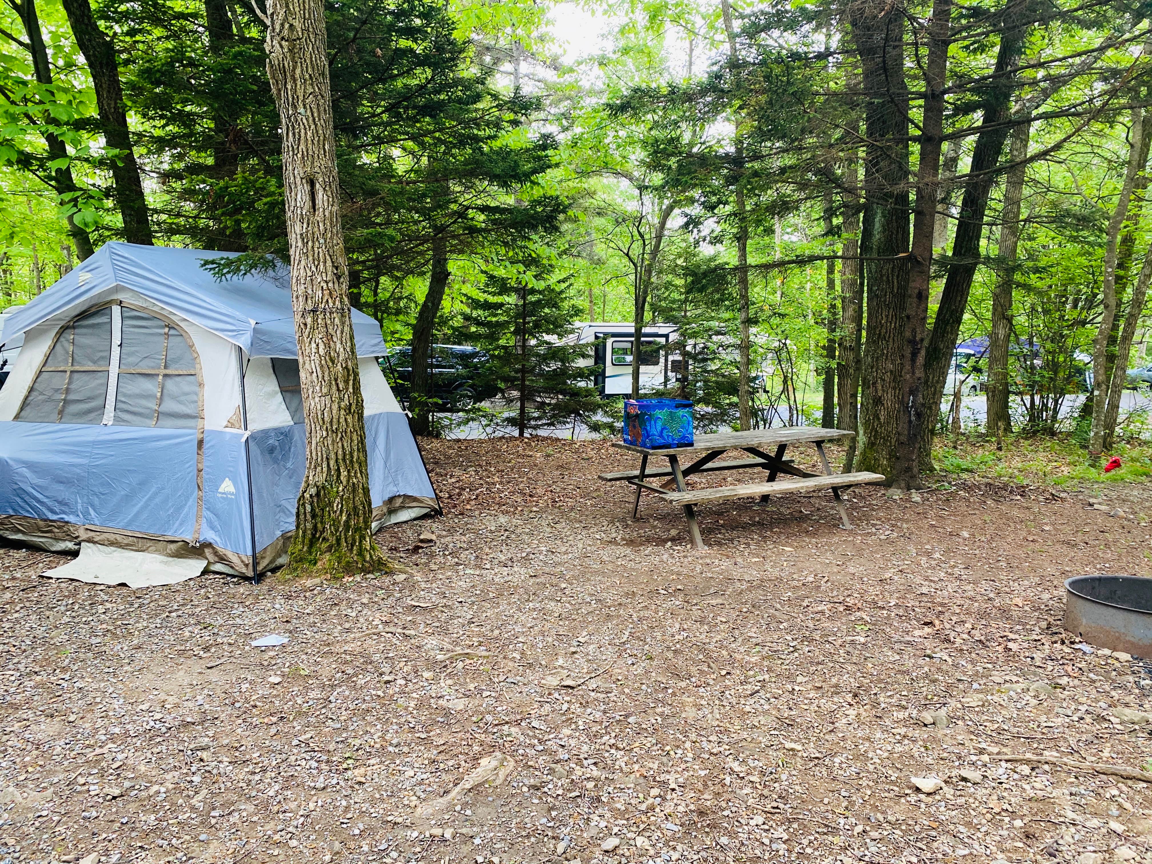 Hickory Ridge Campground — Grayson Highlands State Park