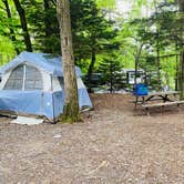 Review photo of Hickory Ridge Campground — Grayson Highlands State Park by Shelly S., November 29, 2020