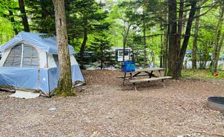 Shelly S.'s photo at Hickory Ridge Campground — Grayson Highlands State Park near Scottville, NC