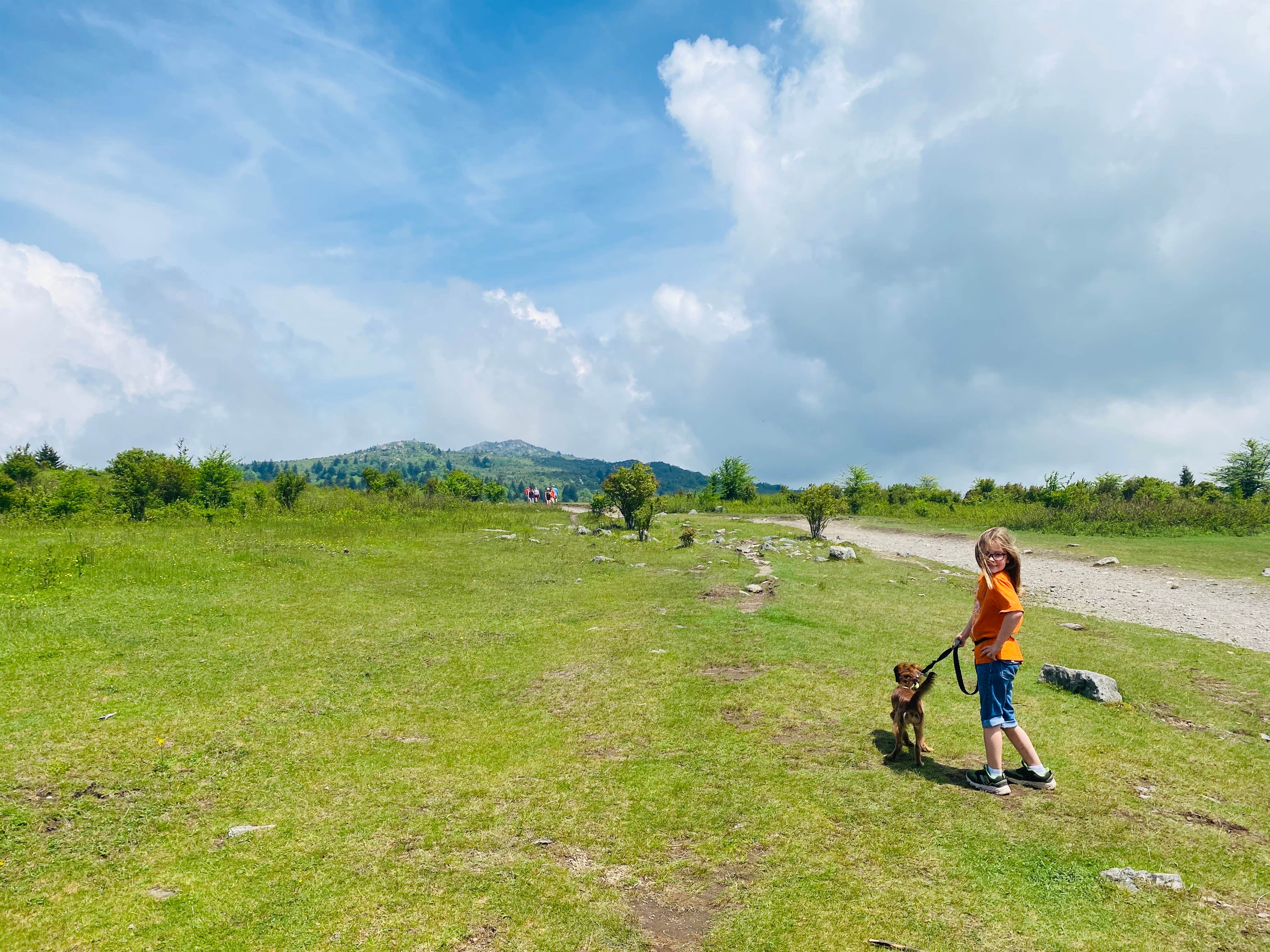 Camper-submitted photo at Hickory Ridge Campground — Grayson Highlands State Park in Virginia