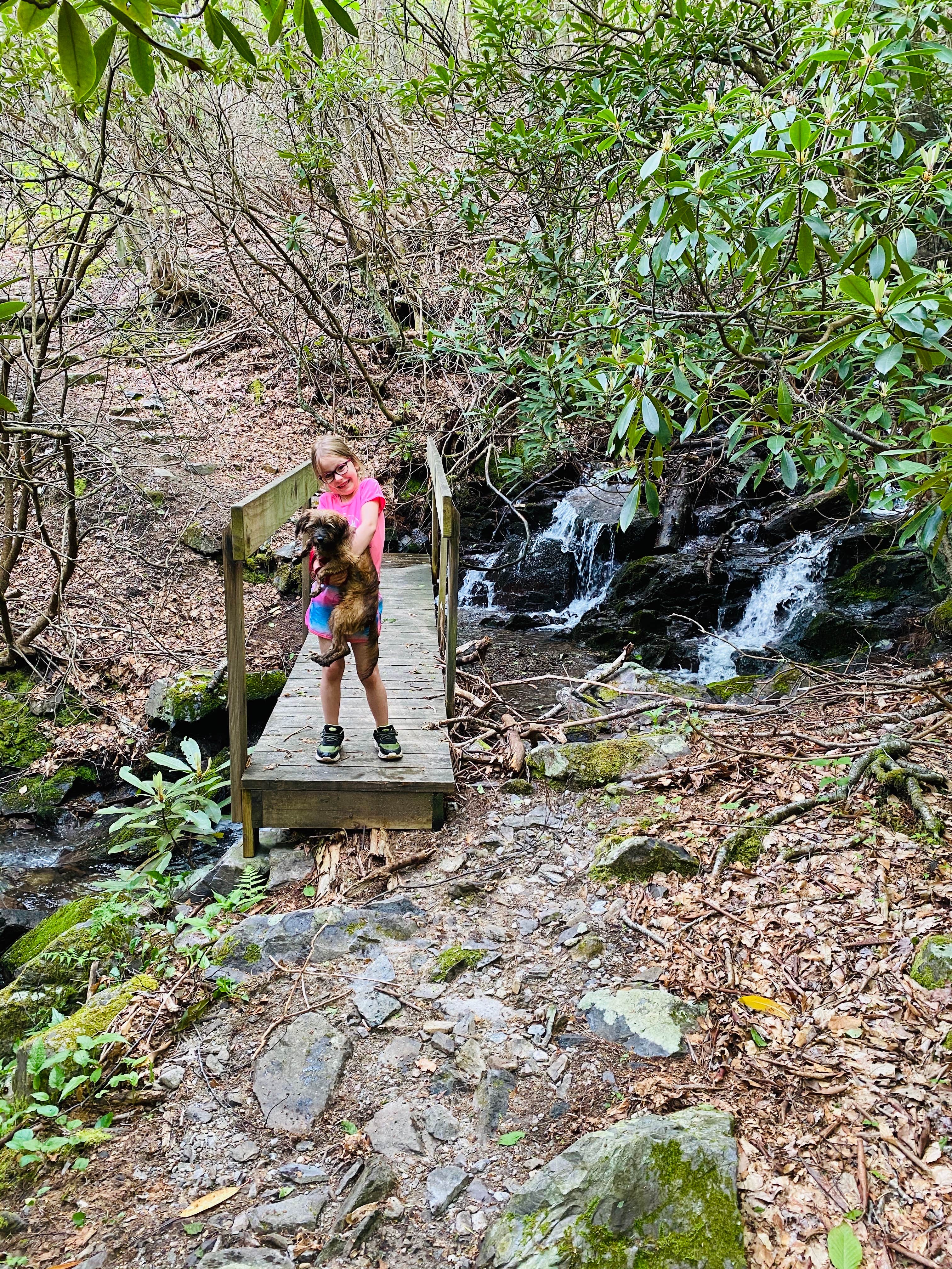 Camper-submitted photo at Hickory Ridge Campground — Grayson Highlands State Park in Virginia