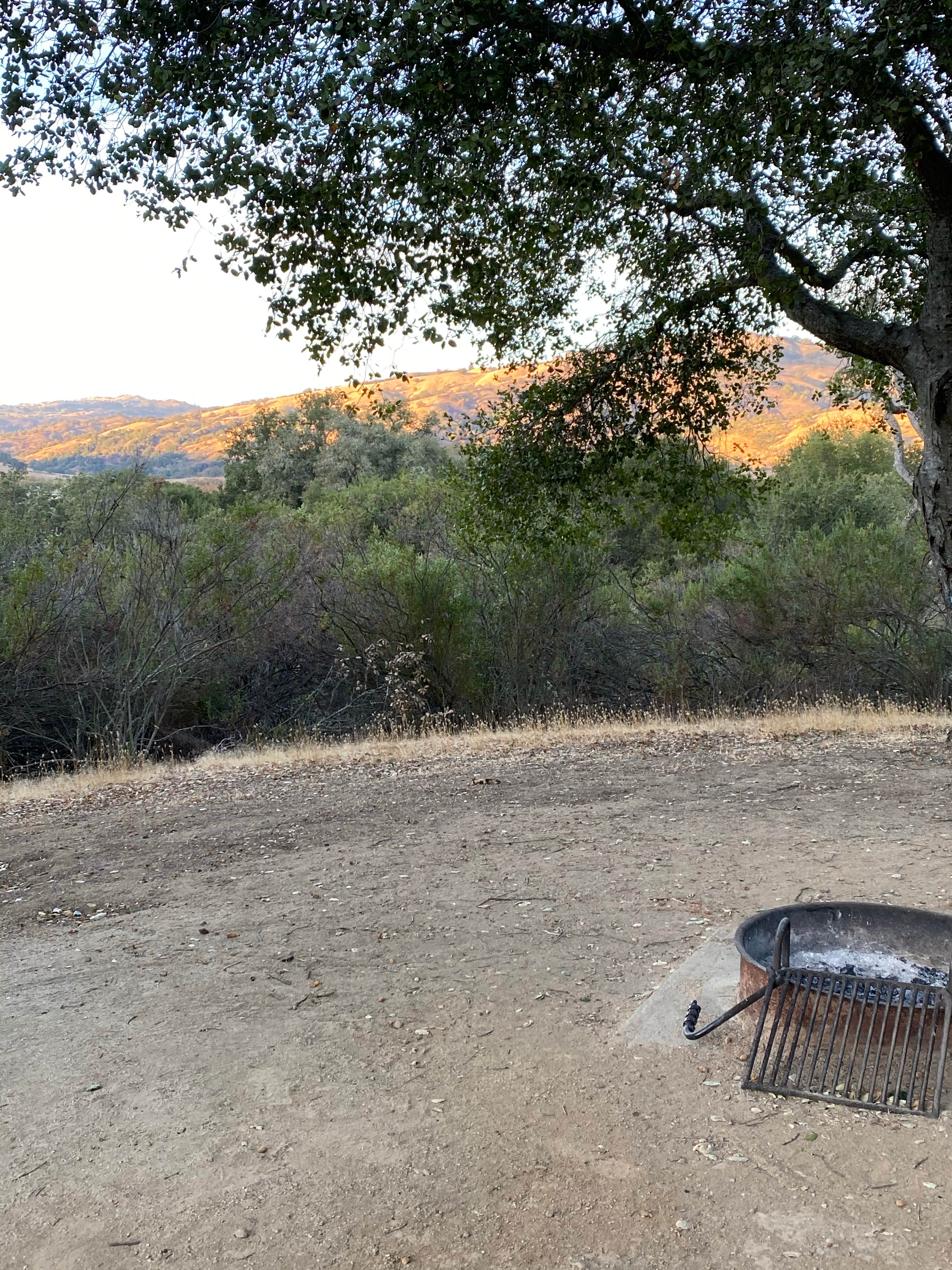 Camper-submitted photo at Joseph D. Grant County Park near Santa Clara, CA