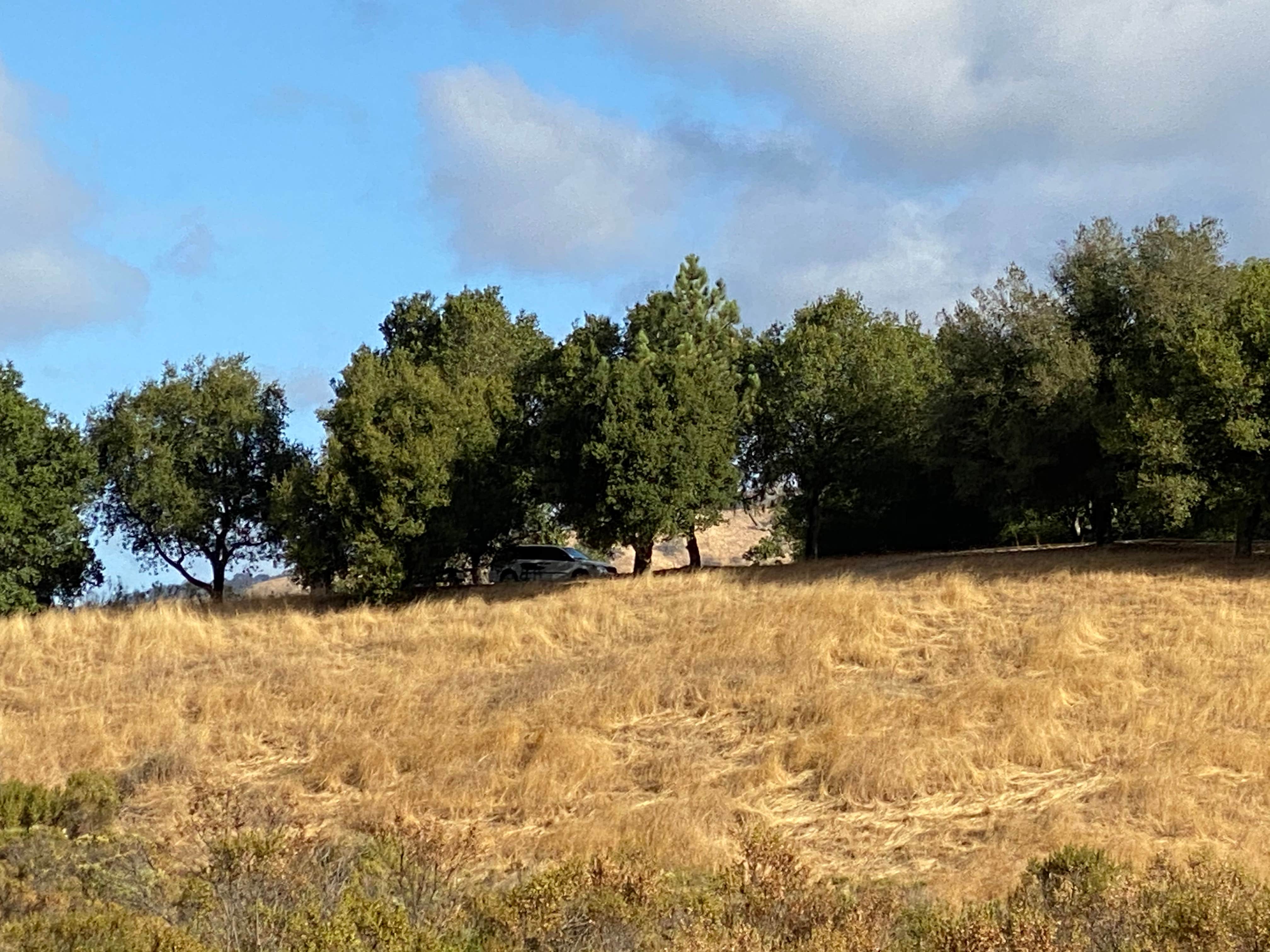 Camper-submitted photo at Joseph D. Grant County Park near Capitola, CA