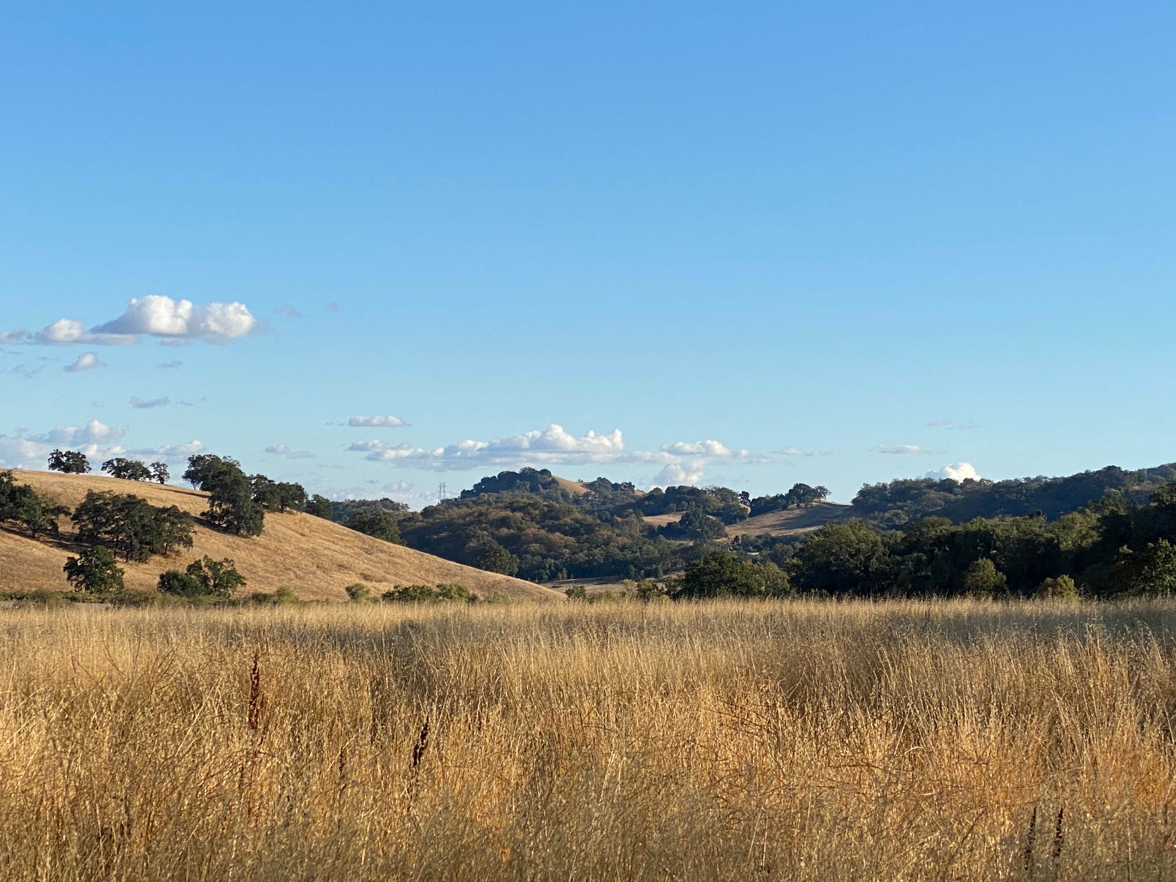 Camper submitted image from Joseph D. Grant County Park - 2