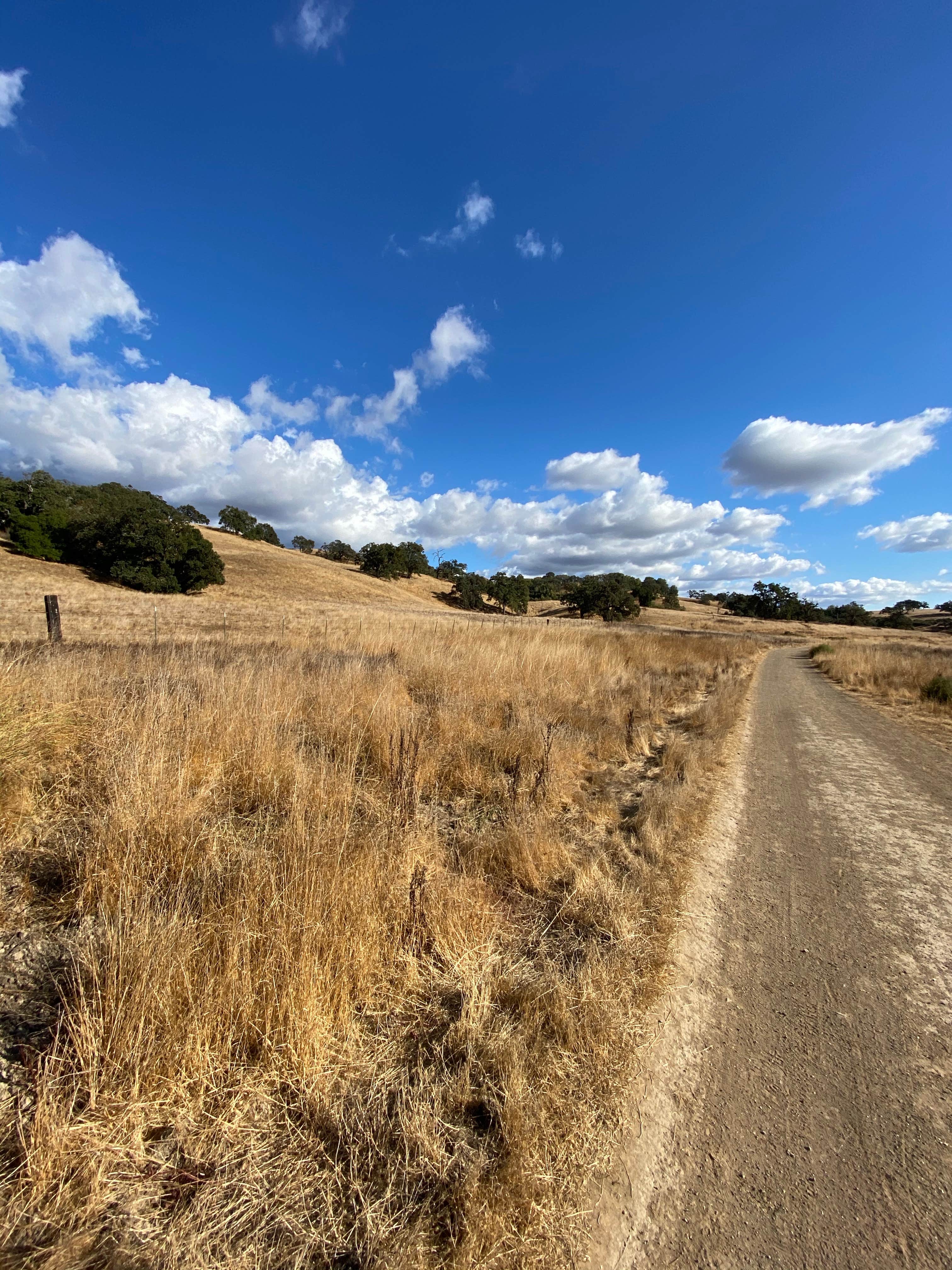 Camper submitted image from Joseph D. Grant County Park - 1