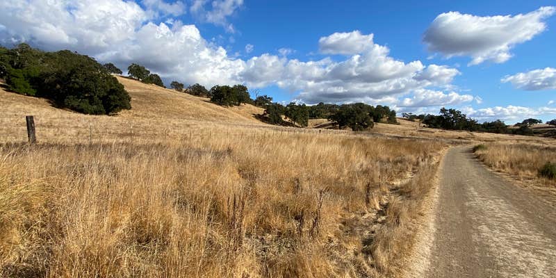 Camper submitted image from Joseph D. Grant County Park