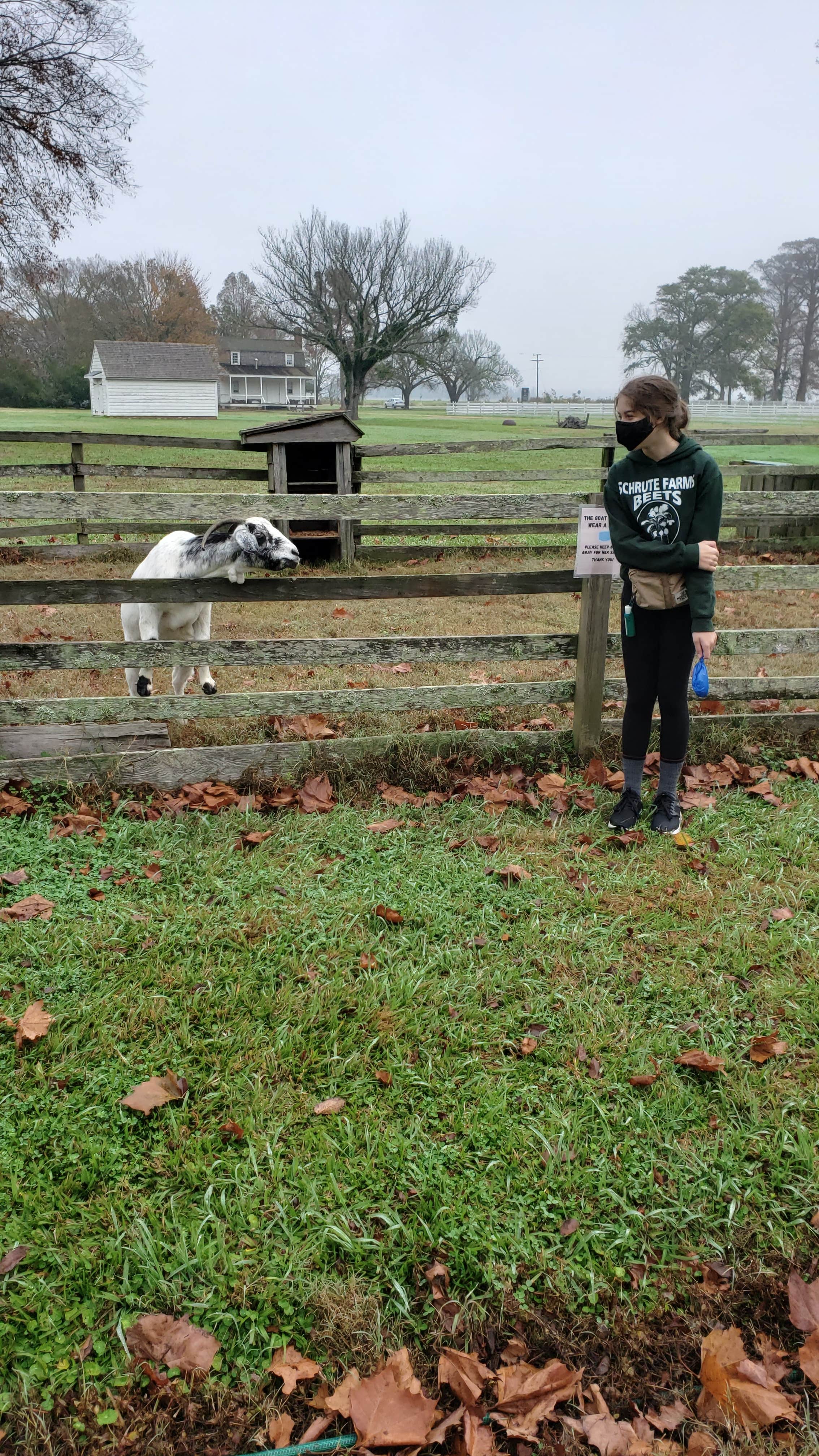 Jennifer R.'s photo of camping with pets at Pettigrew State Park Campground near Nags Head, NC