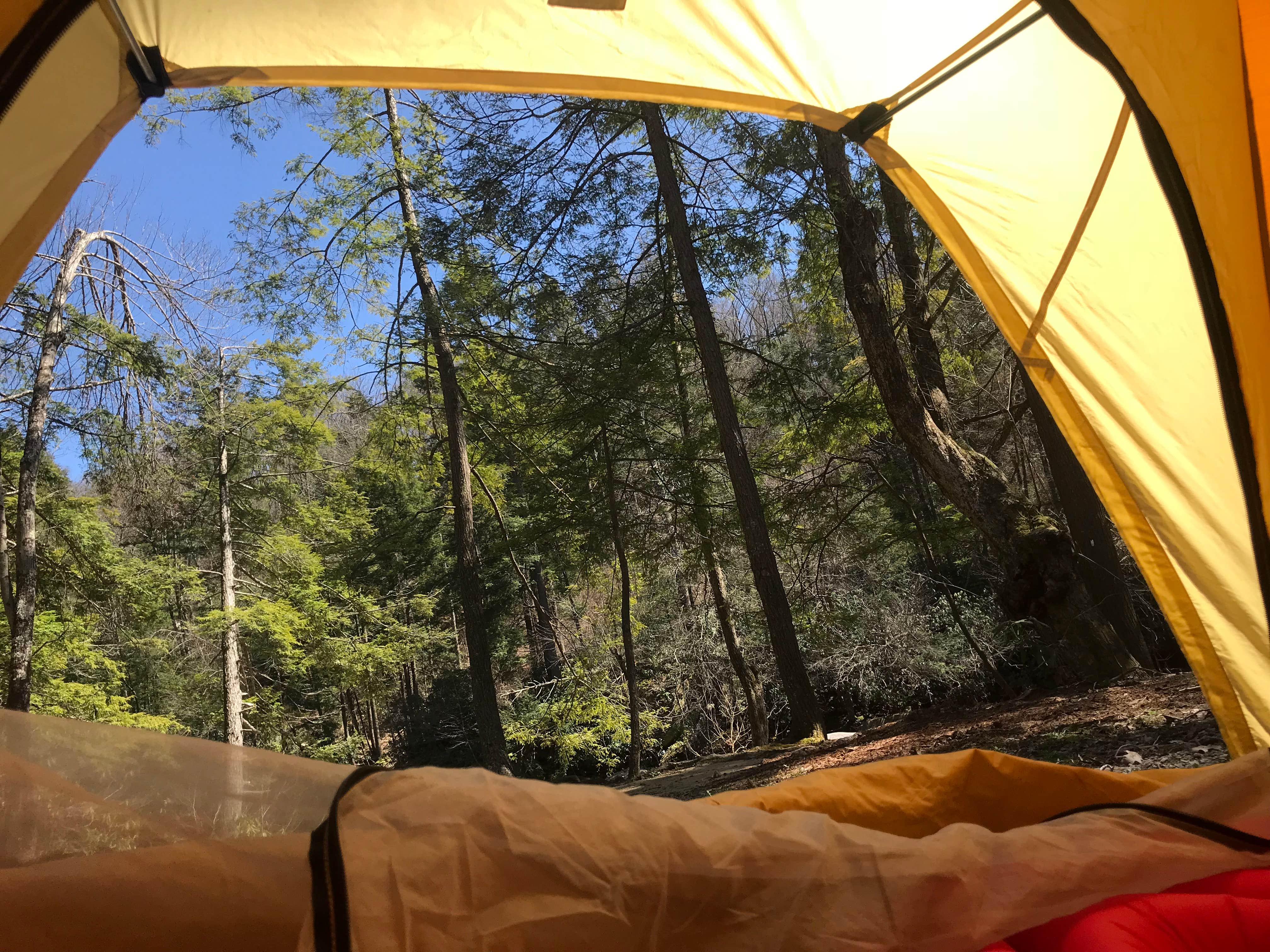 Dave V.'s photo at Audra State Park Campground near Volga, WV