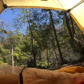 Review photo of Audra State Park Campground by Dave V., May 24, 2018