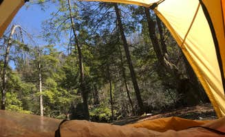 Dave V.'s photo at Audra State Park Campground near Belington, WV