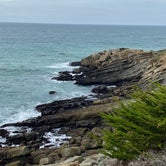 Review photo of Gualala Point Regional Park by Sophie S., November 29, 2020