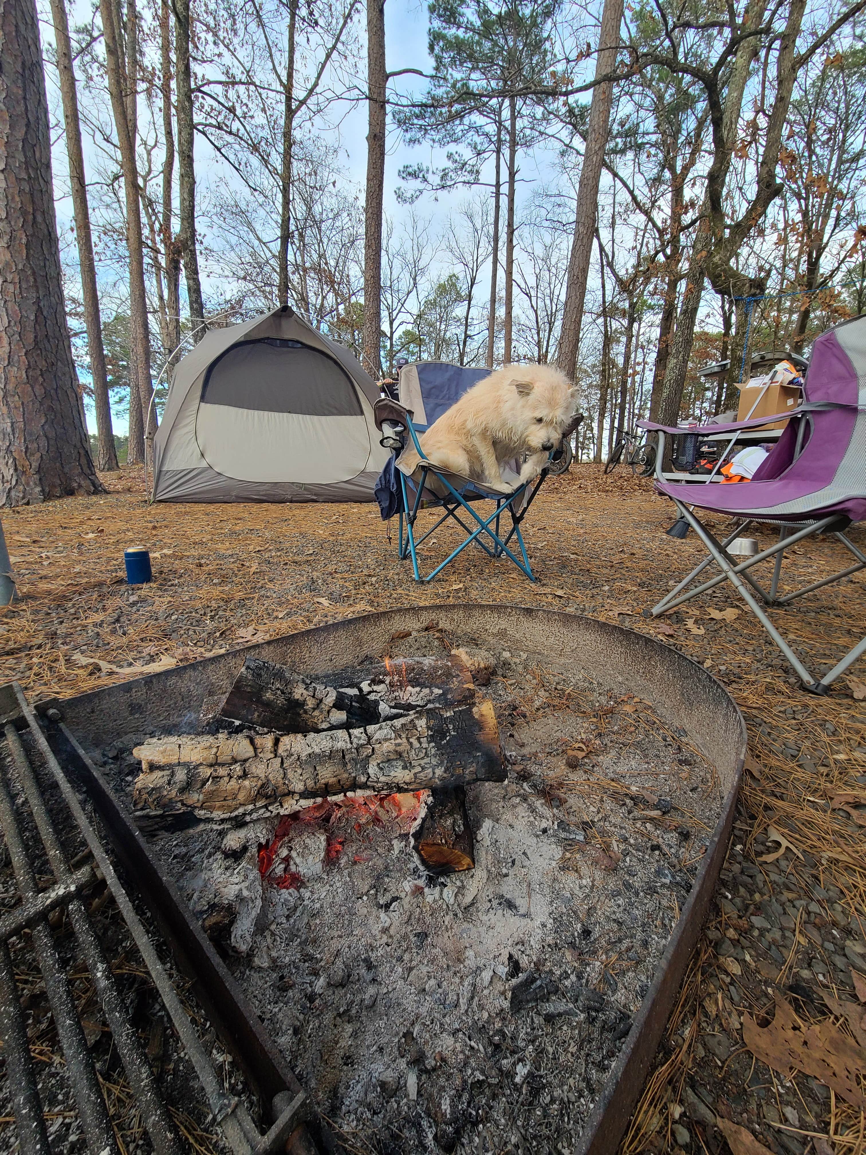 Vanessa M.'s photo at Tompkins Bend near Oden, AR